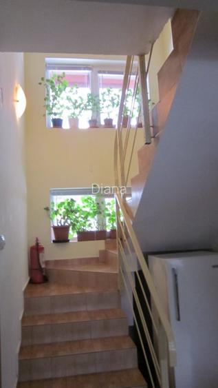 Voineasa, Valcea, vila 13 camere, altitudine 700 m - 10