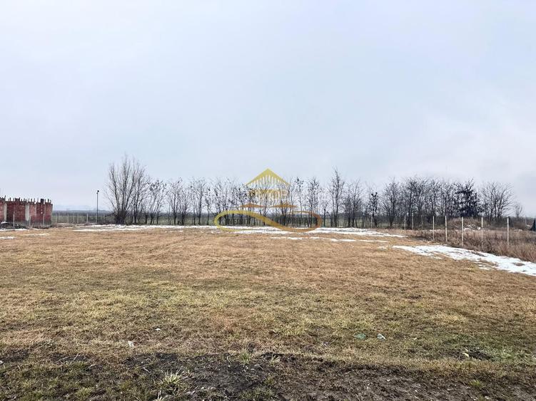 Teren de vanzare Siretu Saucesti Bacau - 2