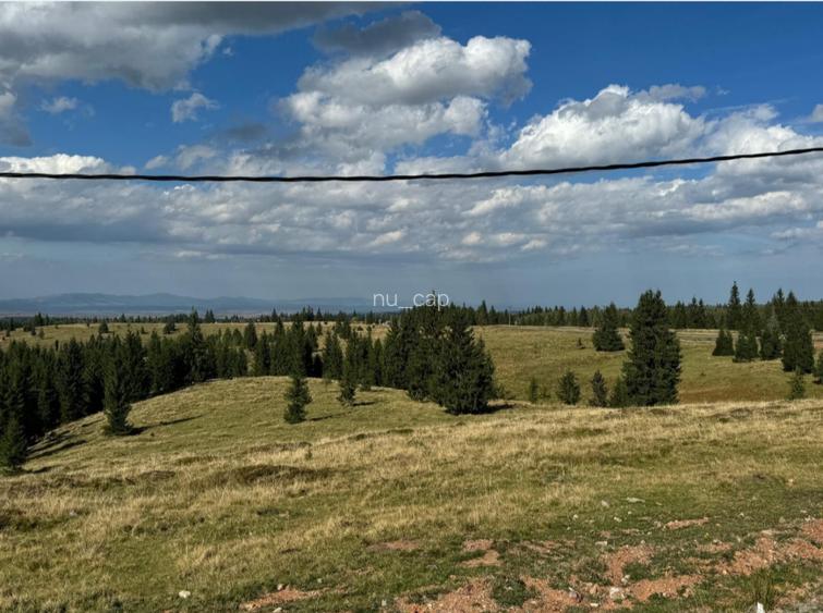 "TEREN PT CABANA ULTIME PARCELE"  - 4