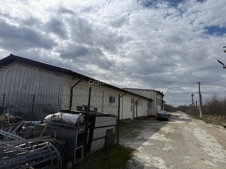 🔥 De vânzare teren - oportunitate rară de investiție – deschidere la Dunăre! 🔥 - 3