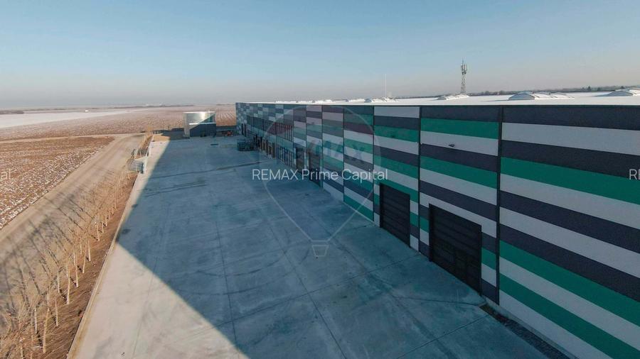 Hală de vânzare, Sc 7014mp, Zona Biharia - 5