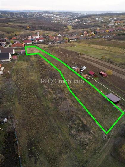 RECO . Teren intravilan Saldabagiu de munte . - 9