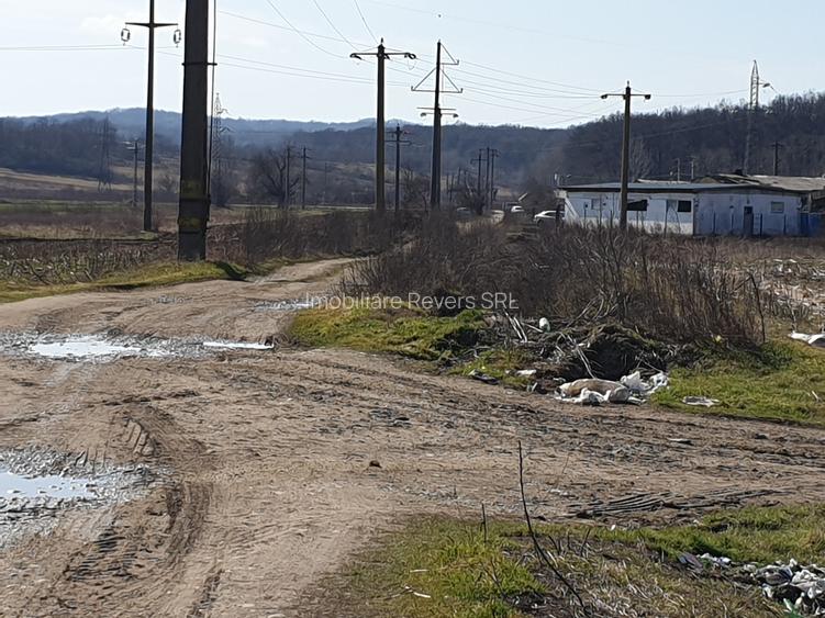 TEREN AGRICOL BABENI LANGA ABATOR LA PROVINCIA - pretabil ferma cu panour solare - 34