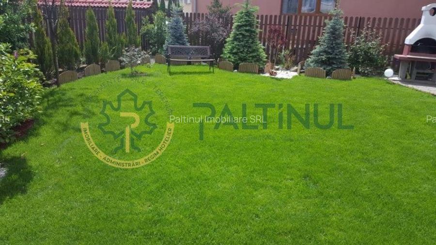 Vila Șelimbăr – 700 mp teren, jacuzzi, semineu, front stradal 30 ml - 27