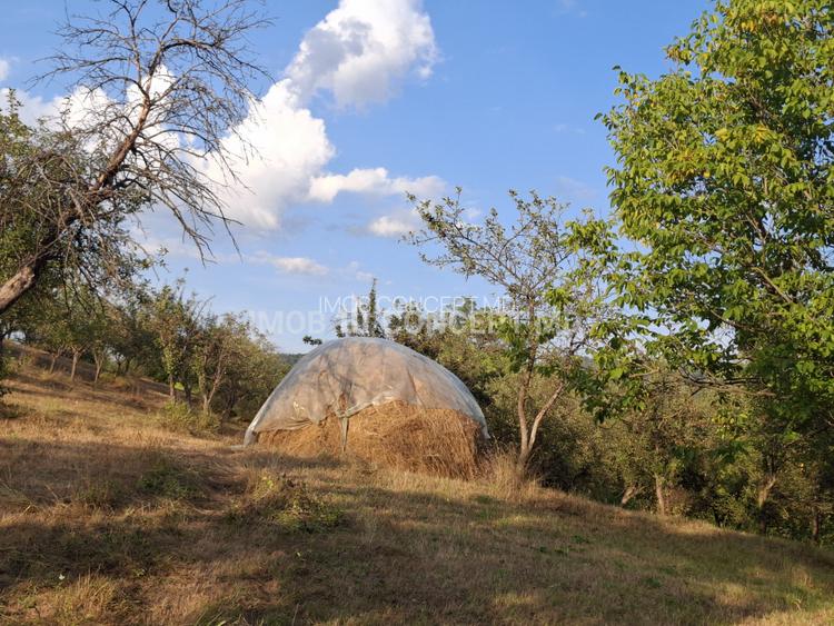 Teren spectaculos cu padure, livada si priveliste panoramica in Soimari PH - 8