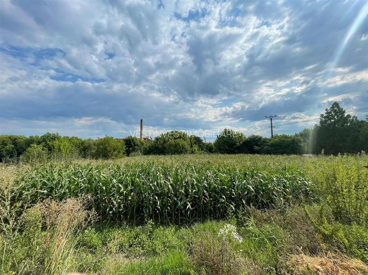 Casa cu teren de 1233 mp la 25 km de Oradea - 11