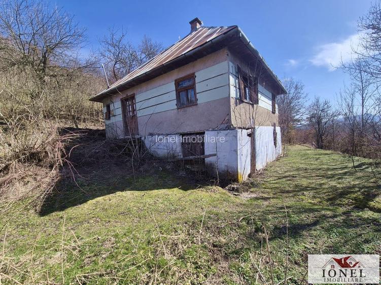 Casa de vanzare in Bistra - Apuseni - 2