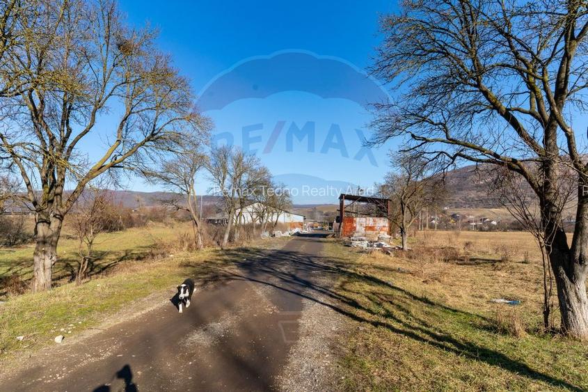 Spatiu de productie,Ferma agricola Uroi/ jud. Hunedoara - 22