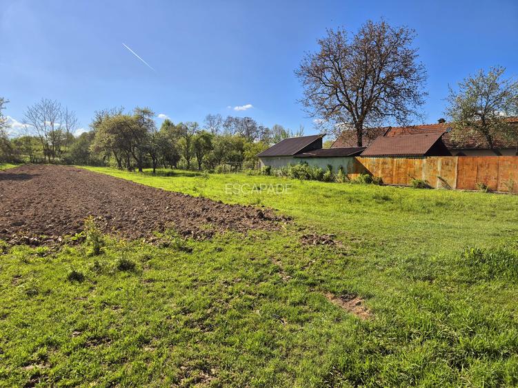 Comision 0 %/ Teren intravilan Sercaita 2247 mp - 11