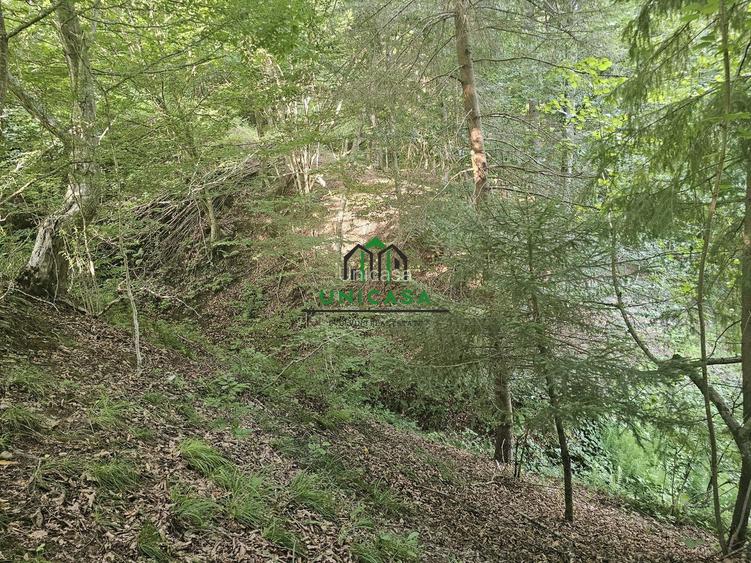 Teren extravilan  cu potential turistic - Brezoi - 3