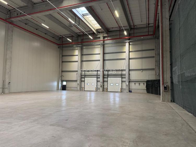 Hală suprafețe disponibile 1.000-40.000mp - 3