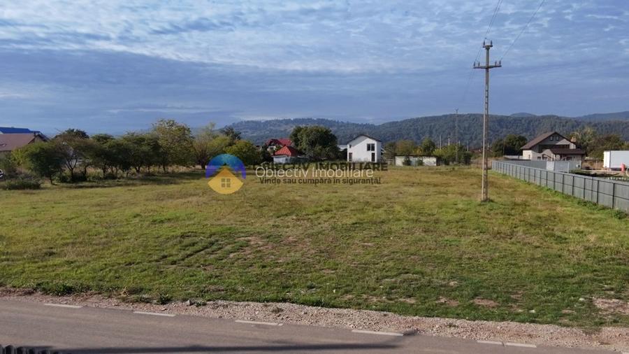 Teren de vanzare 1800 mp – Dumbrava Rosie - 6