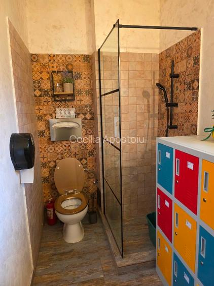 Spațiu profesional ultracentral – Vilă interbelica – Renovat integral - 2
