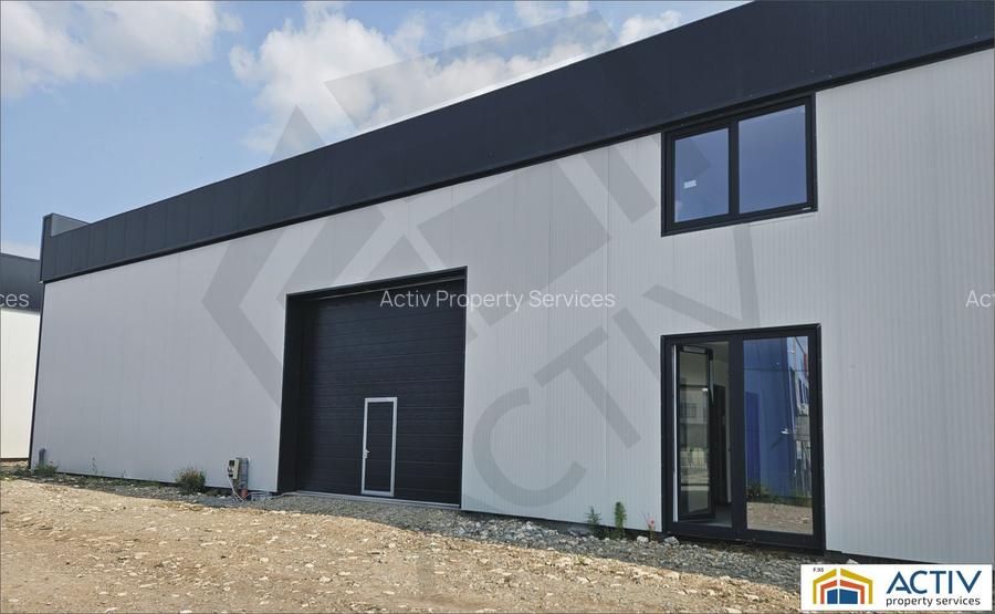 Spatiu Industrial de inchiriat in Alba Iulia - 3