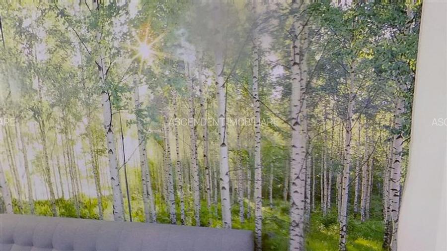 Garsoniera moderna, etaj intermediar, cadru natural, Noua Brasov - 11