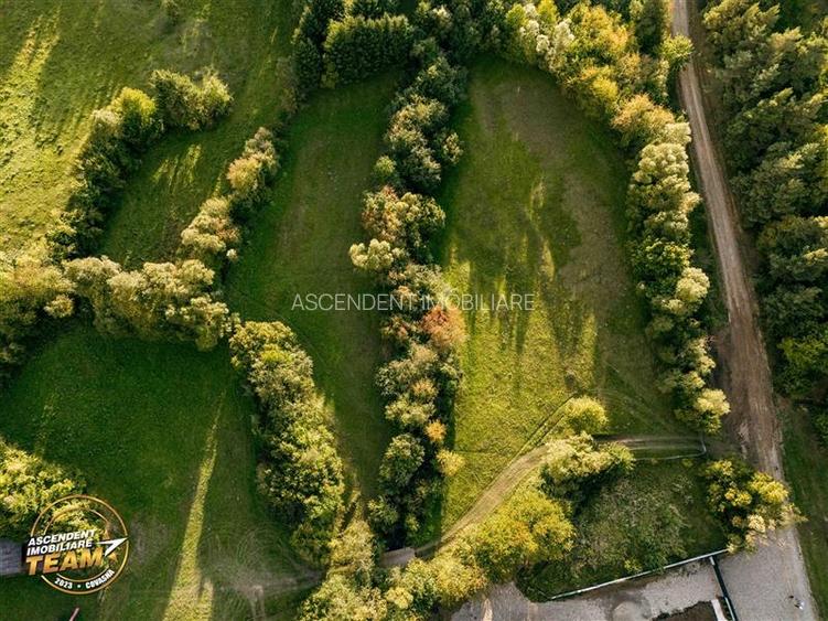 FILM! Teren extravilan, Ojdula, 4.800 mp, zona pitoreasca - 5