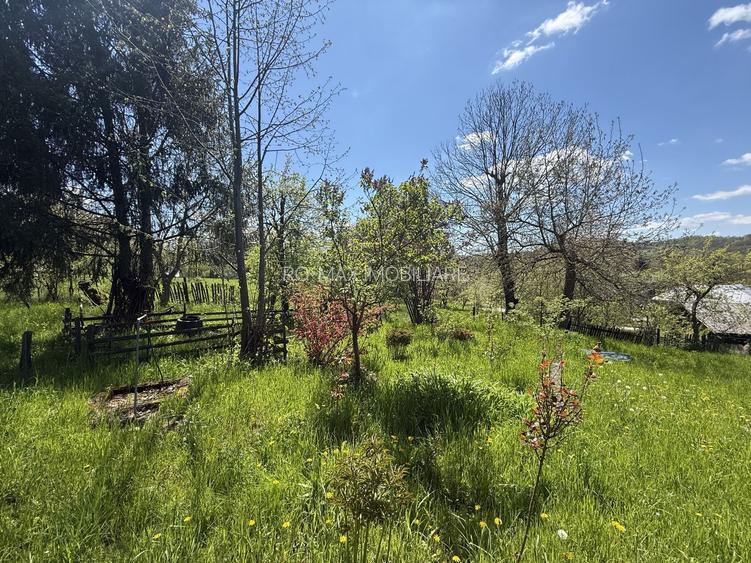 Casă parter+mansarda 100mp + beci, cu teren intravilan 1400 mp - 21