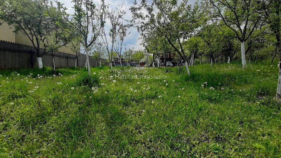 Casa moderna, foarte spatioasa, cu  1500 mp teren, în  Dambul Rotund - 29