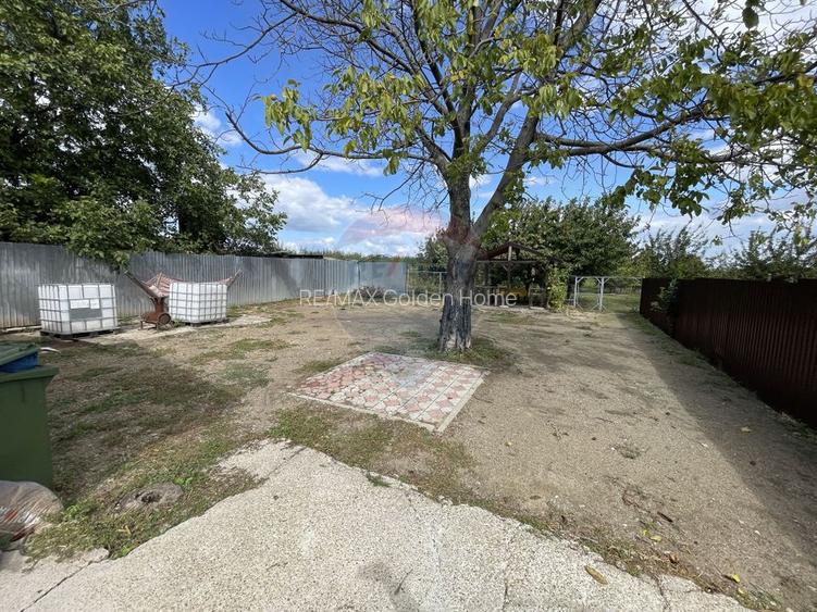 Casă Tifesti teren si vie - 28