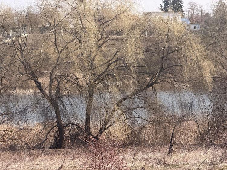 TEREN CU DESCHIDERE LA LAC / LA DOAR 100 M DE PADURE / UTILITATI - 3