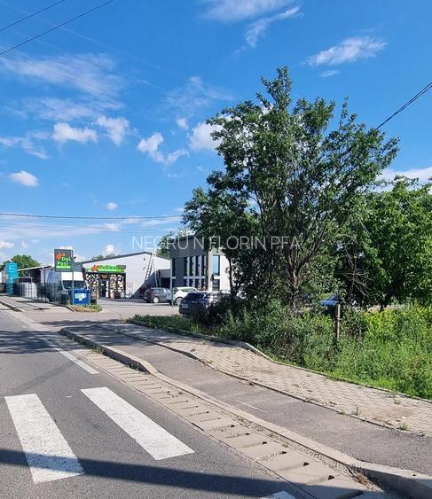 Teren Vadu Pasii - Scurtesti! - 2