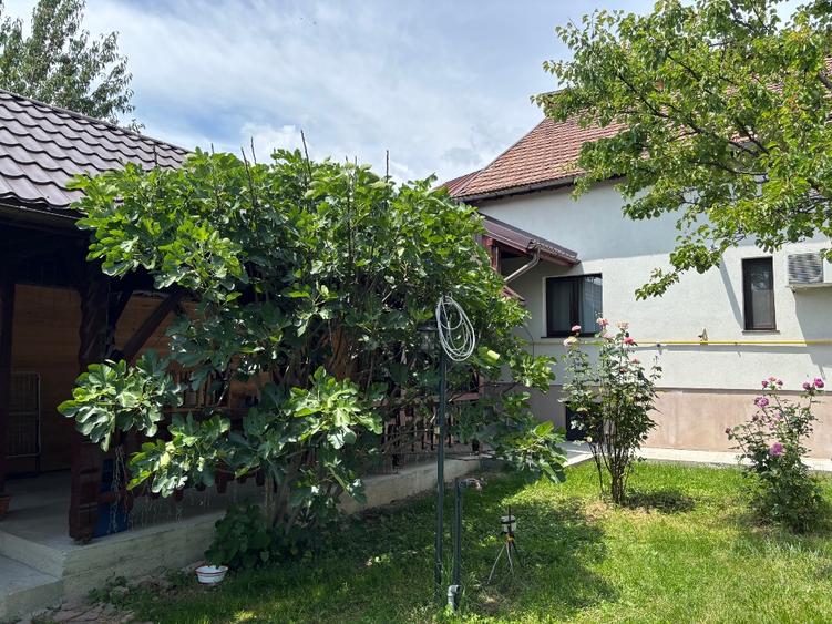 De vănzare casă - pensiune în stațiunea Călimănești Caciulata