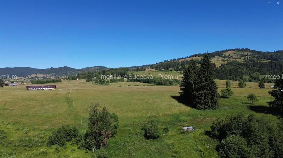 Teren in Bucovina! La Munte! De vanzare! 0727817187 - 8