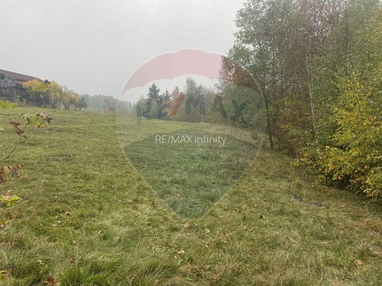 Teren de vanzare 8119 mp Calatele Padure.Muntii Apuseni - 13