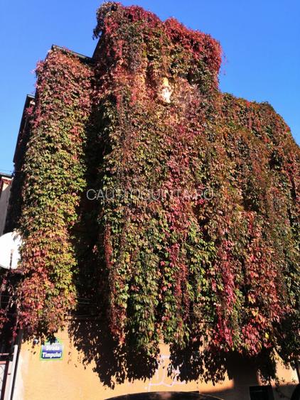 Apartament 2 camere in vila Popa Nan | Central | Foisorul de Foc - 12