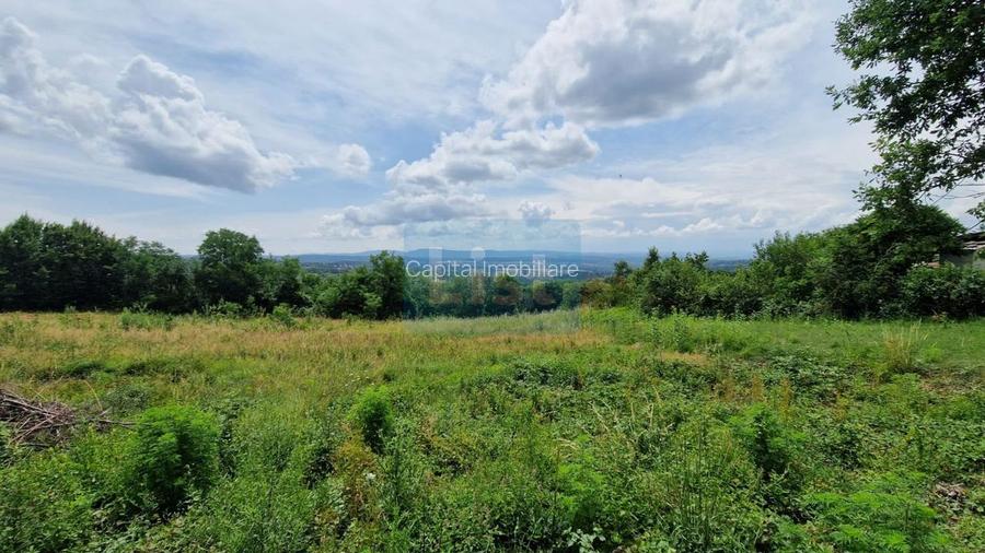 Teren Baia Sprie: 5143 mp, Parcelabil, Comision 0! - 5