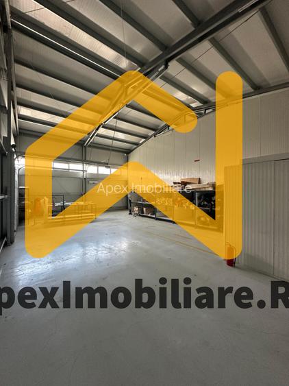Hala Industrială Malu Rosu Ploiesti 550 mp + Birouri | Parcare 20 | Acces TIR | - 19
