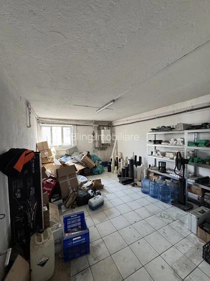 Hala Industriala, zona Someseni - 5