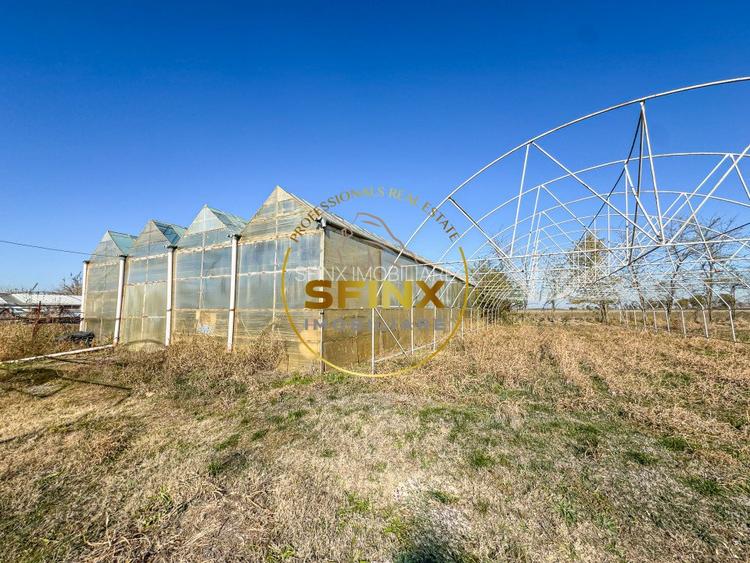 De vanzare ferma Calarasi in stare de conservare - sere - livada  - 10