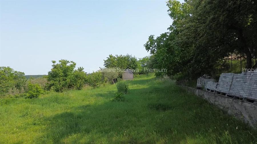 Teren 4800 mp cu Livada si Casa Nefinalizata - Adancata! - 9