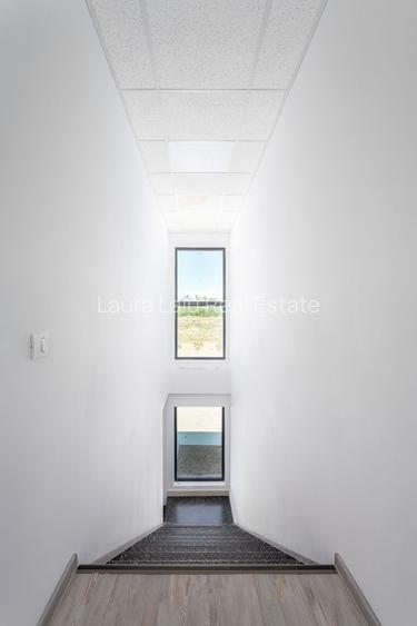 De vanzare hala cu randament in Chitila / Rudeni - 10