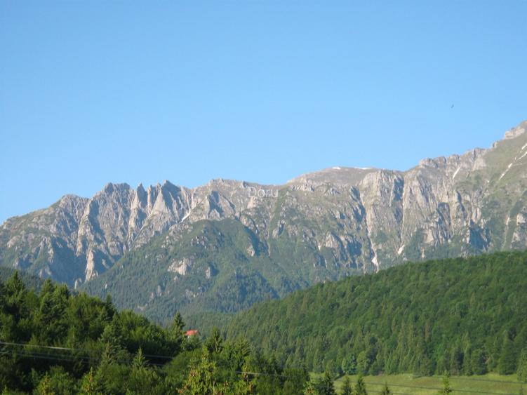 10650 pe munte, langa Predeal  cu PUZ, ridicare TOPO, studiu GEO,apa,gaz,curent - 2