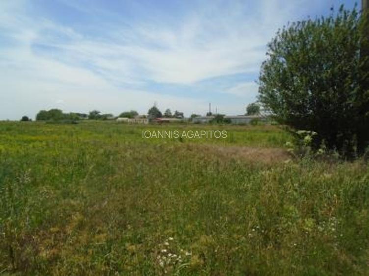 Teren Mihailesti. Intravilan, construibil. Super Oferta! Urgent! - 3