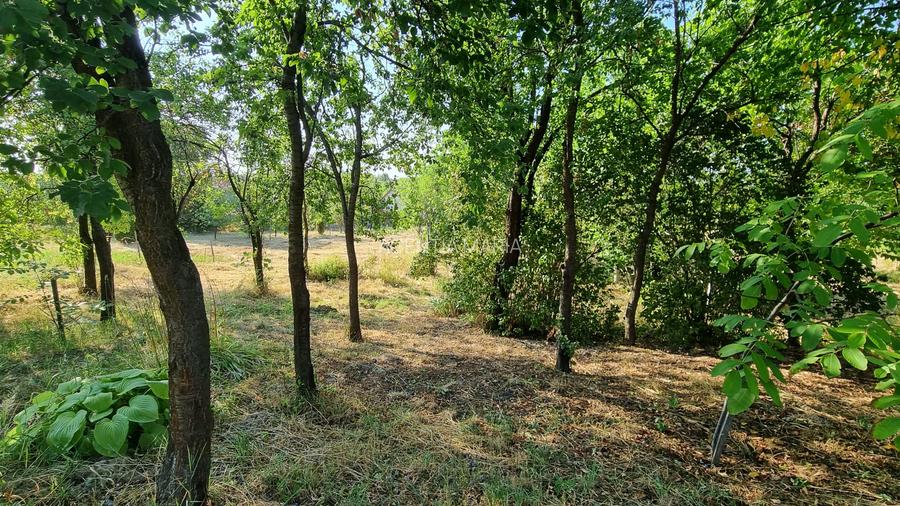 Casa Pensiune in Viile Satu Mare teren 1,63 ha, 11 camere, 10 bai - 22