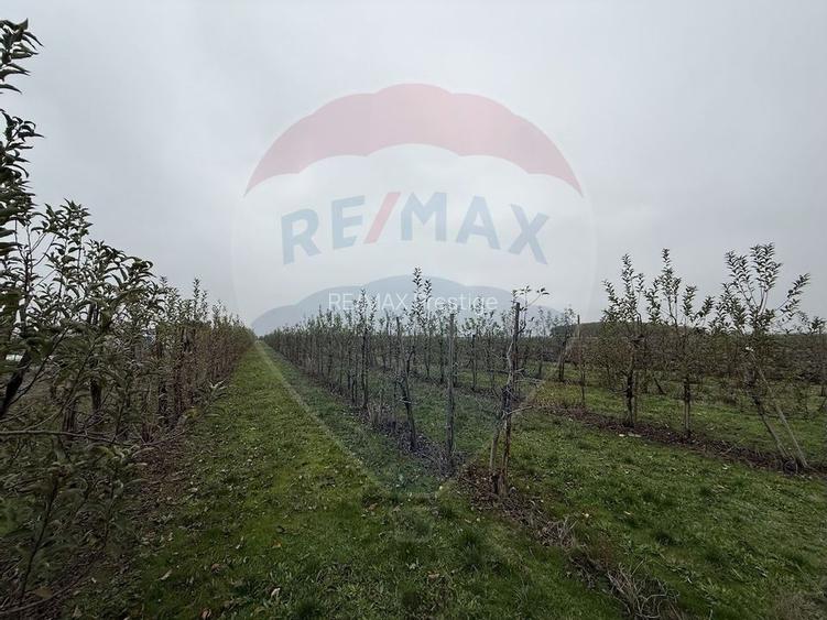 Ferma agro-industrială – 43 ha Adunații Copaceni - 18