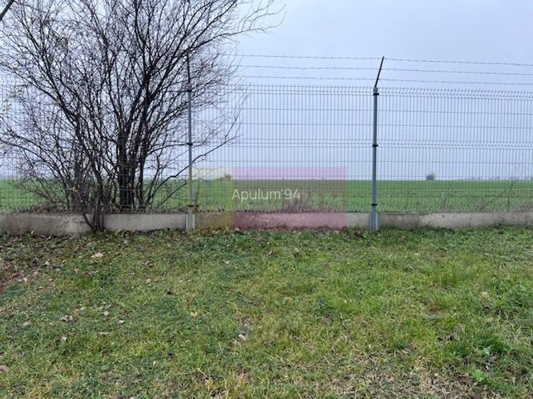 Teren Domnesti- Depozit Altex, Emag. - 2