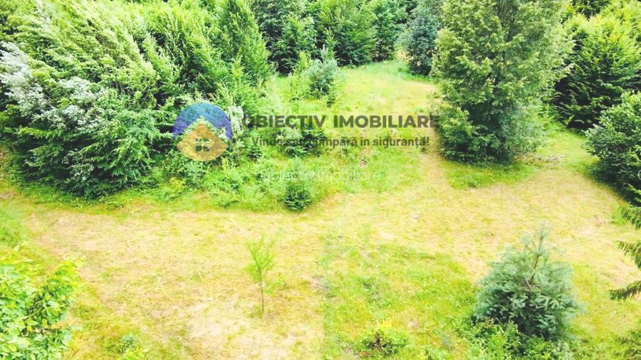 TEREN intravilan   8.000 mp TARCAU - 2