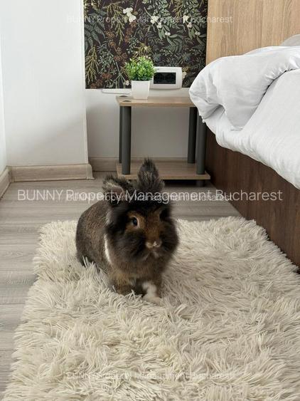 Unirii / Calea Victoriei: 2 Rooms Sleek+Sophisticated – 45 m² SU | AN541-13A-Et5 - 5