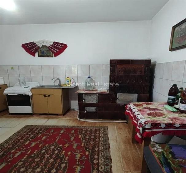 Casa P+M cu teren generos si loturi suplimentare in Baia de Cris - 9