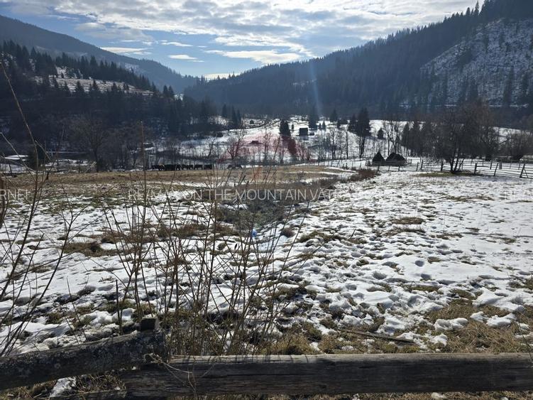 Teren 3,486mp Iacobeni / Drumul Dandoaia - 4