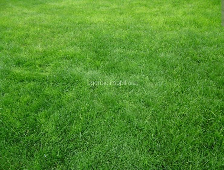 Eforie Nord teren intravilan - 2