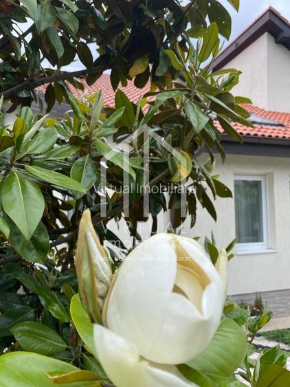 Casa de inchiriat, cu 4 camere curte 750 mp. in Selimbar-str. N.Brana - 22