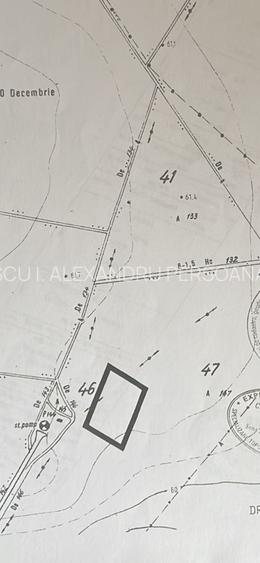 1 Decembrie Strda Pinului 5000m - 9