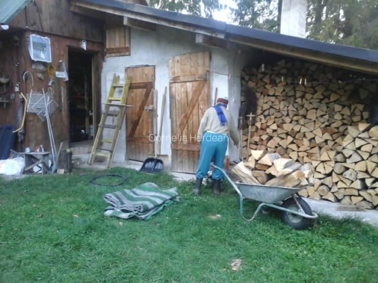 Cabana ( 2 ) de vanzare langa Arieseni ( Garda de sus ) - 15