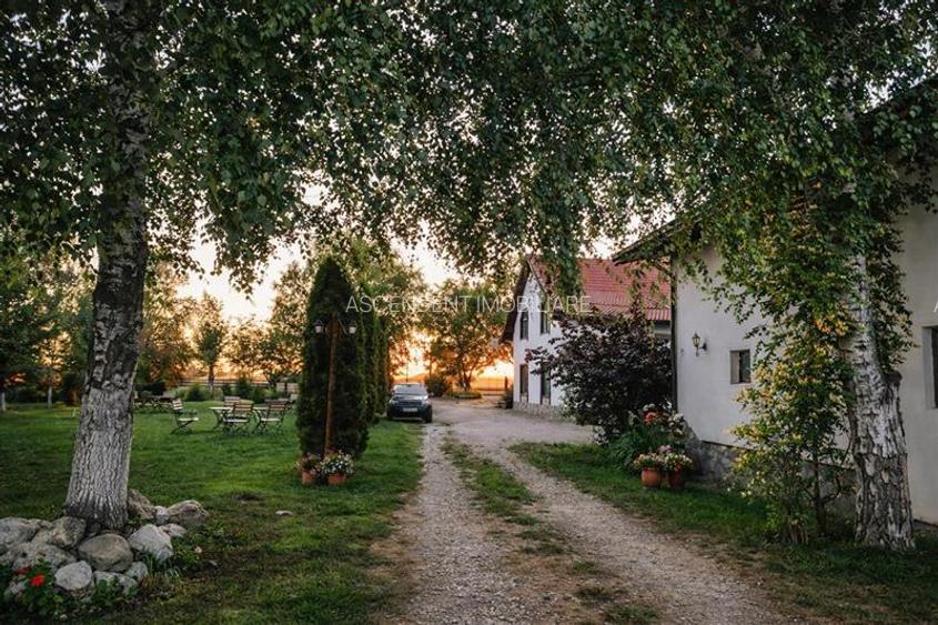 3D! Restaurant cu gradina,facilitati,de inchiriat,deschidere la DN,Halchiu,Braso - 2