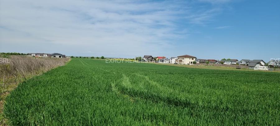 Crevedia terenuri parcelate Samurcasi - 4